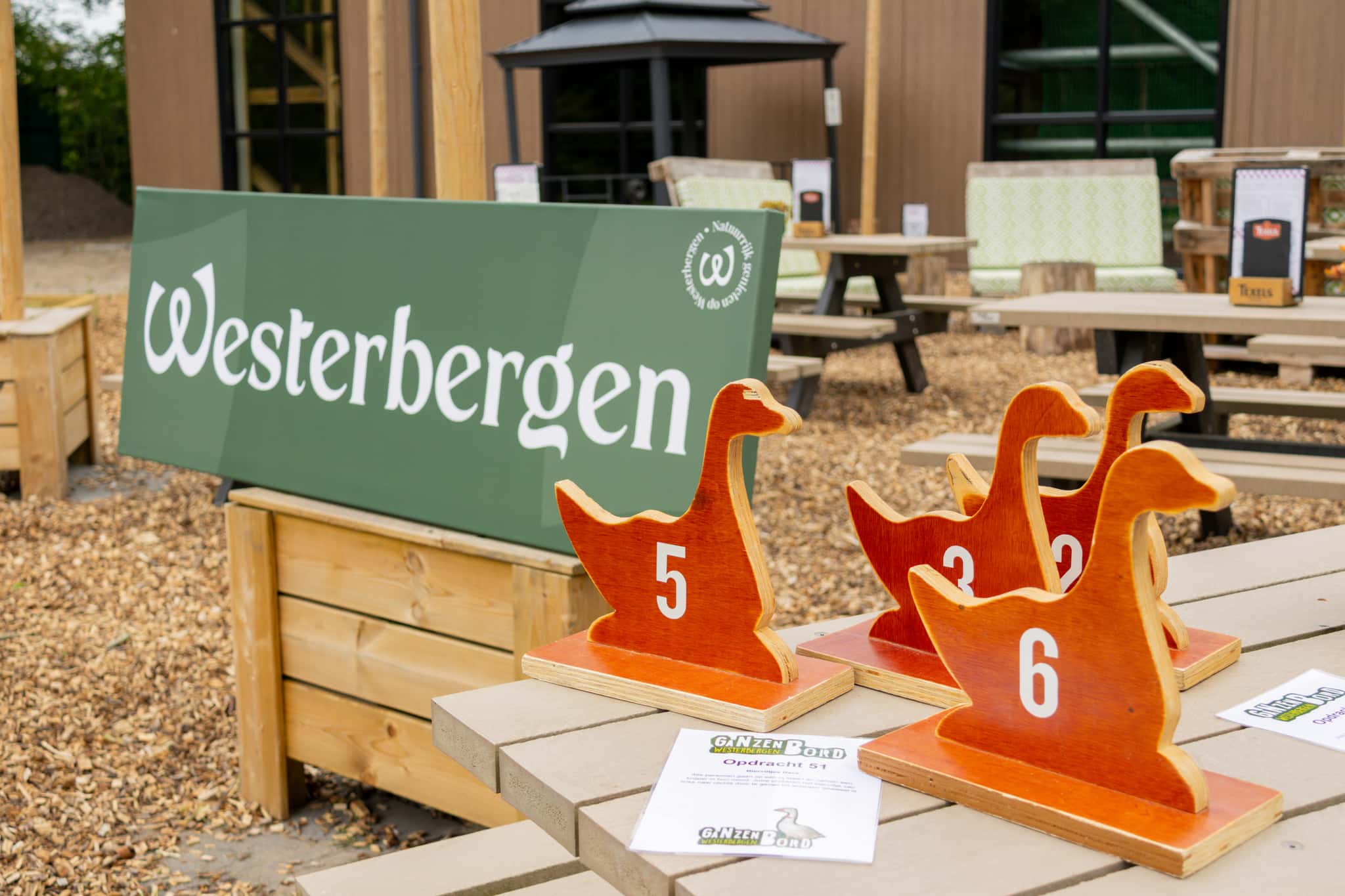 Levend ganzenbord