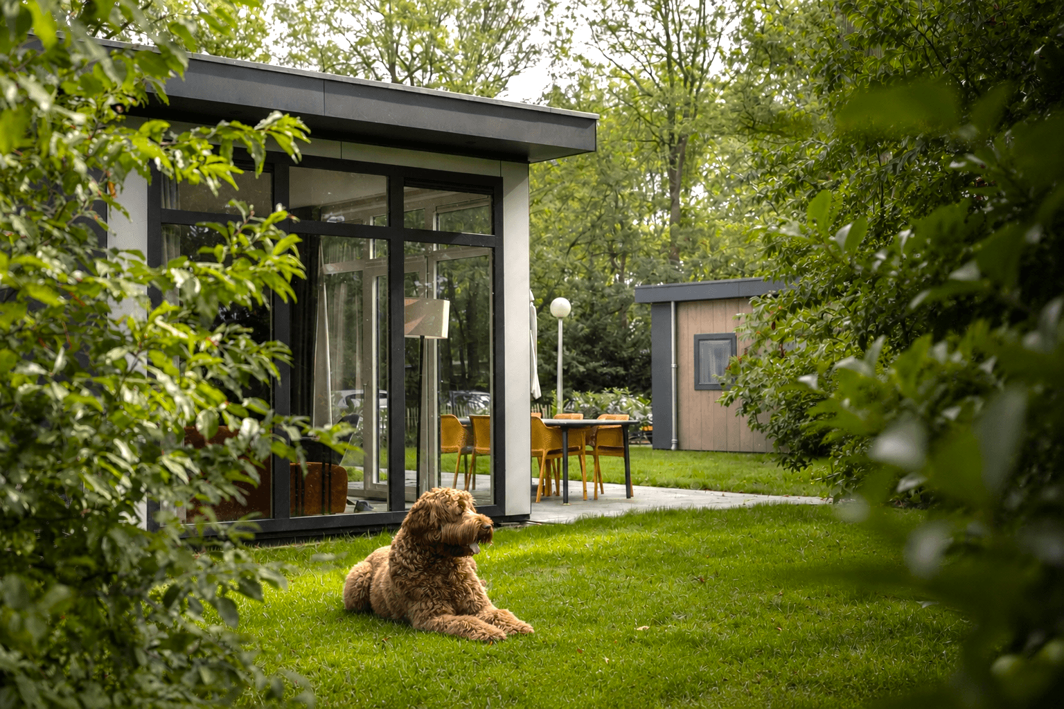 Vakantie met hond