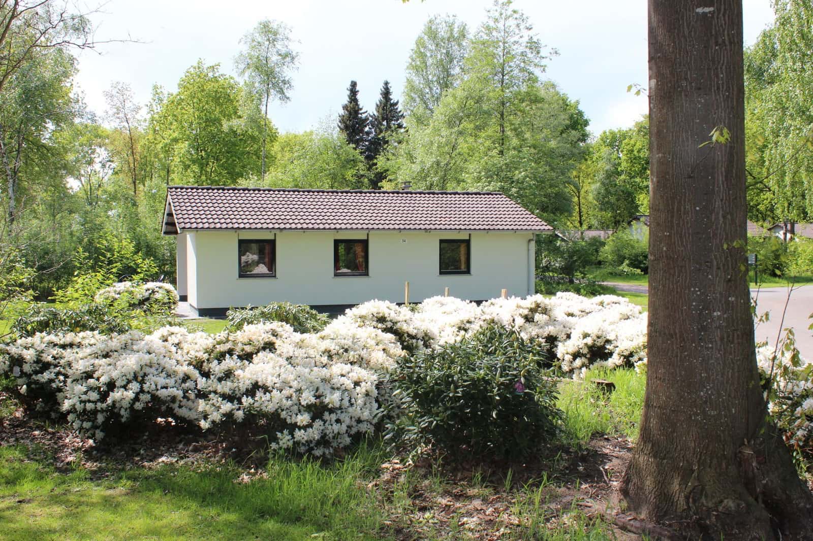 Bungalow Vennepluus