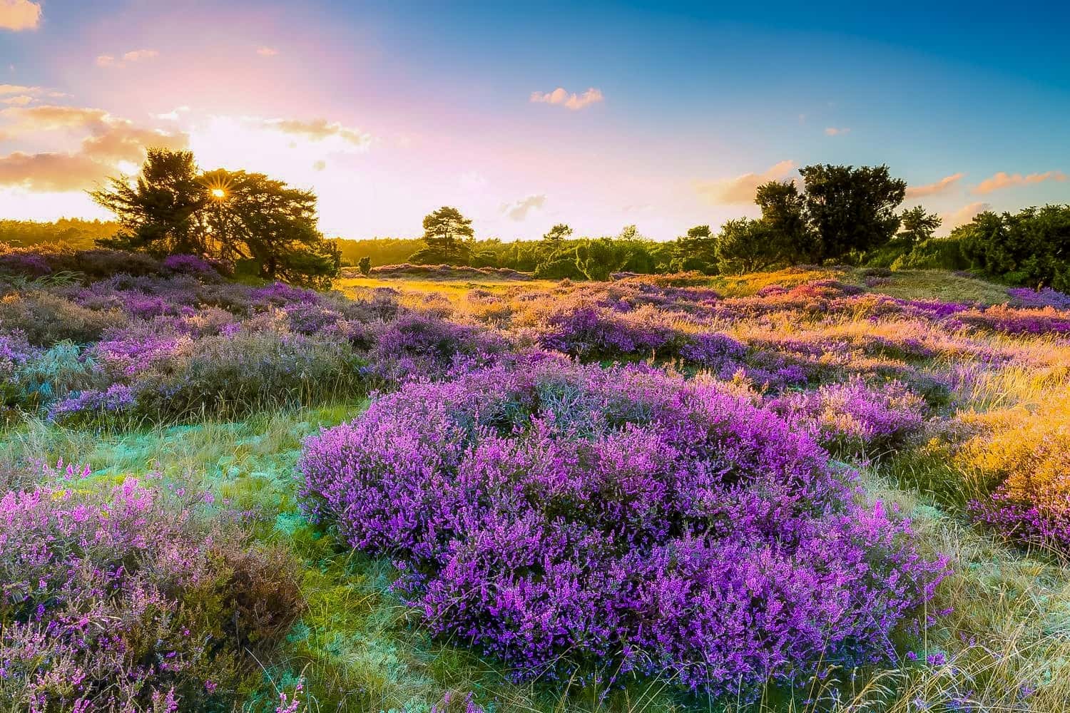 Natuurrijk
