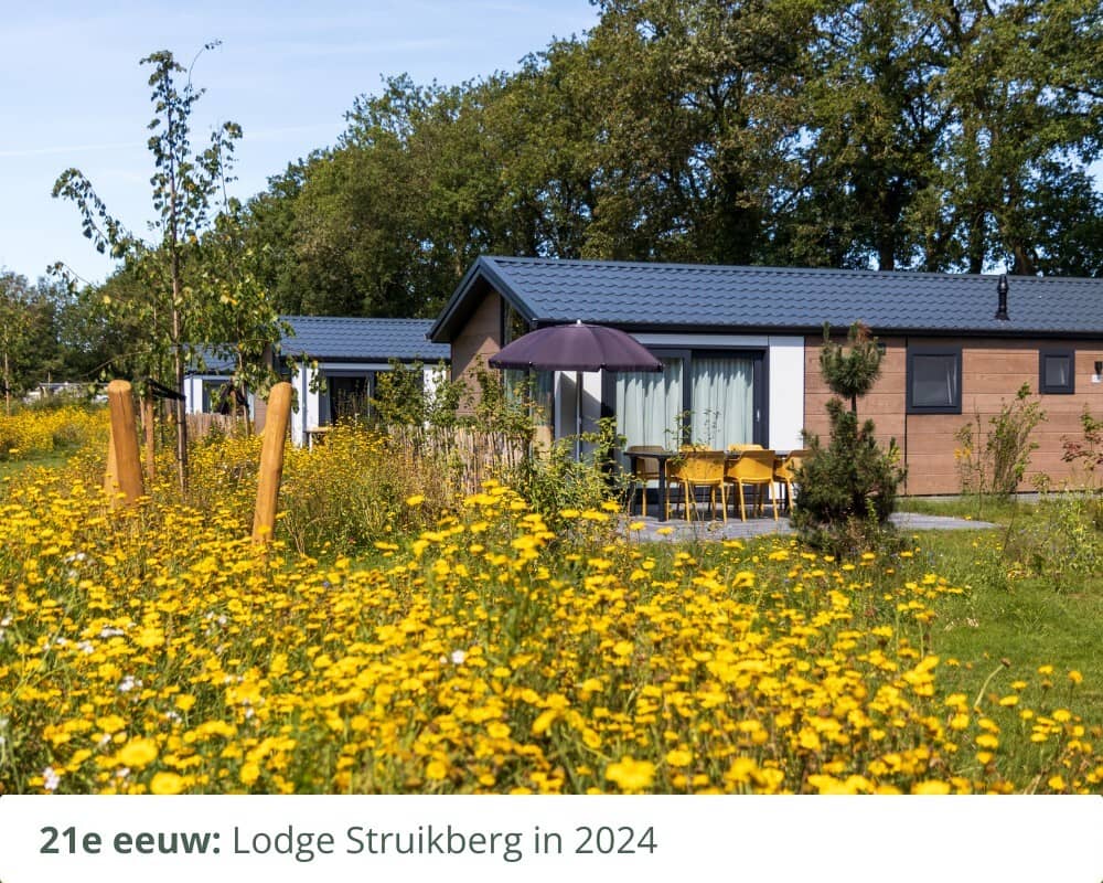 Nieuwe lodges in 2024