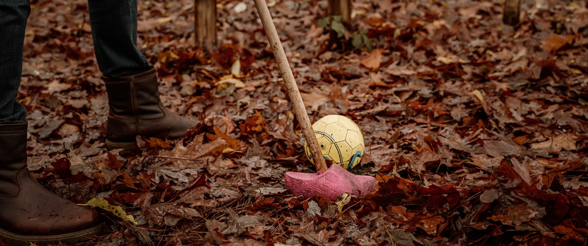 Header afbeelding