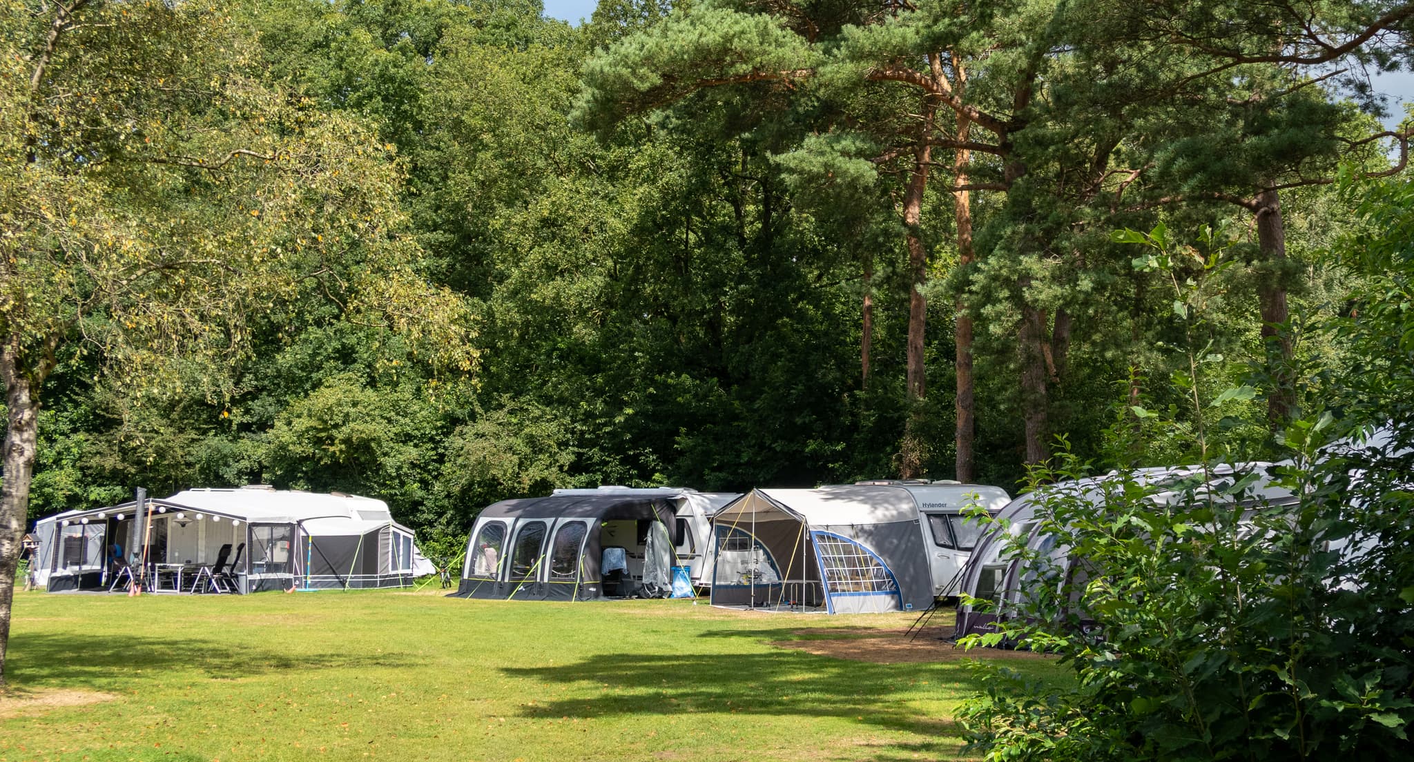 Kamperen in het groen op vakantiepark Westerbergen in Drenthe