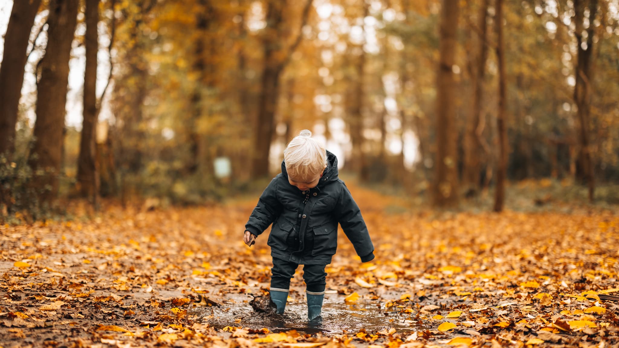 Kindje heeft plezier met blaadje in het bos op Westerbergen tijdens de herfst in Drenthe