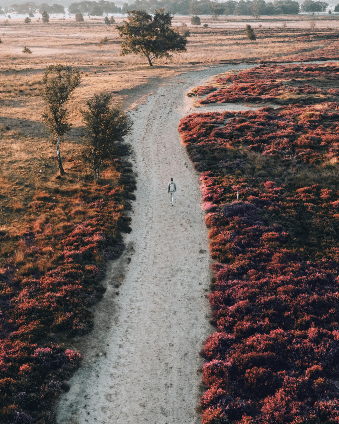 Op Vakantie in Drenthe op Vakantiepark westerbergen