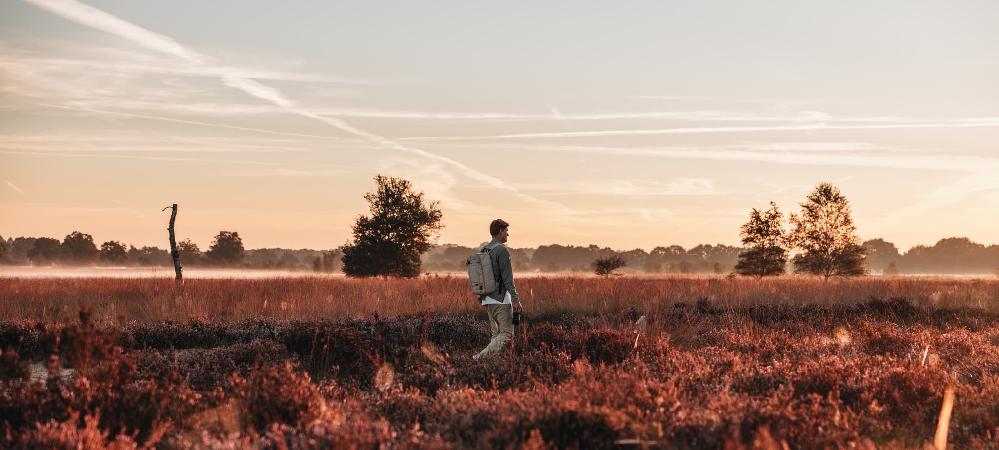 Header afbeelding