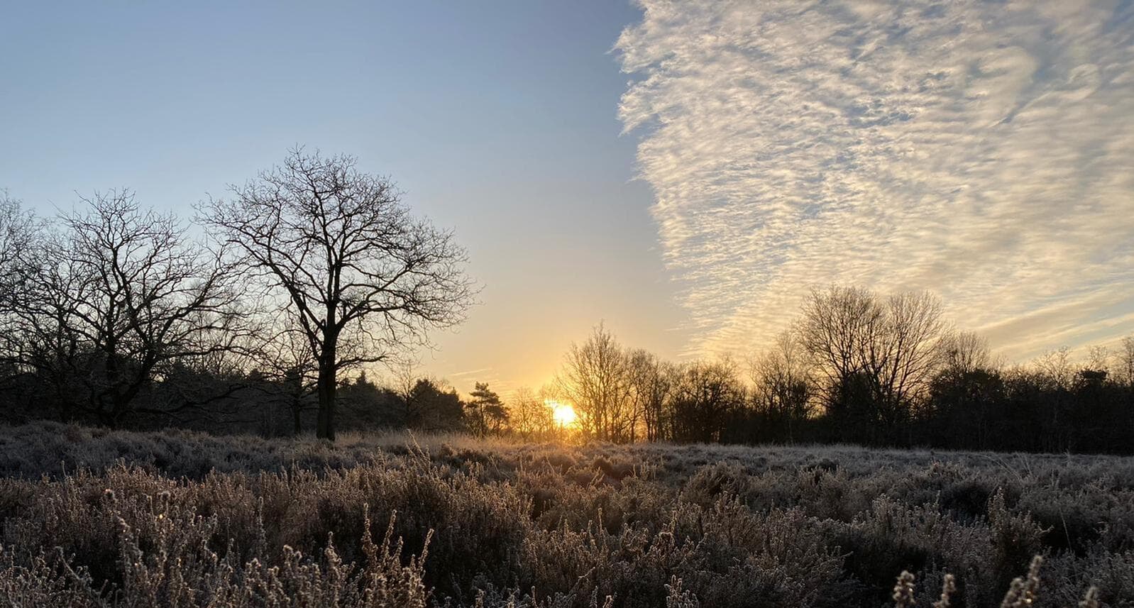 Winterse avondzon op Westerbergen