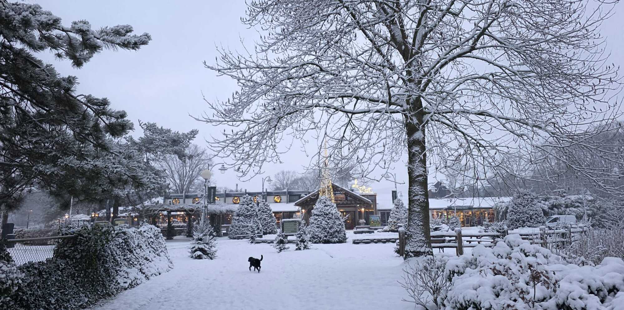 Winter op Westerbergen