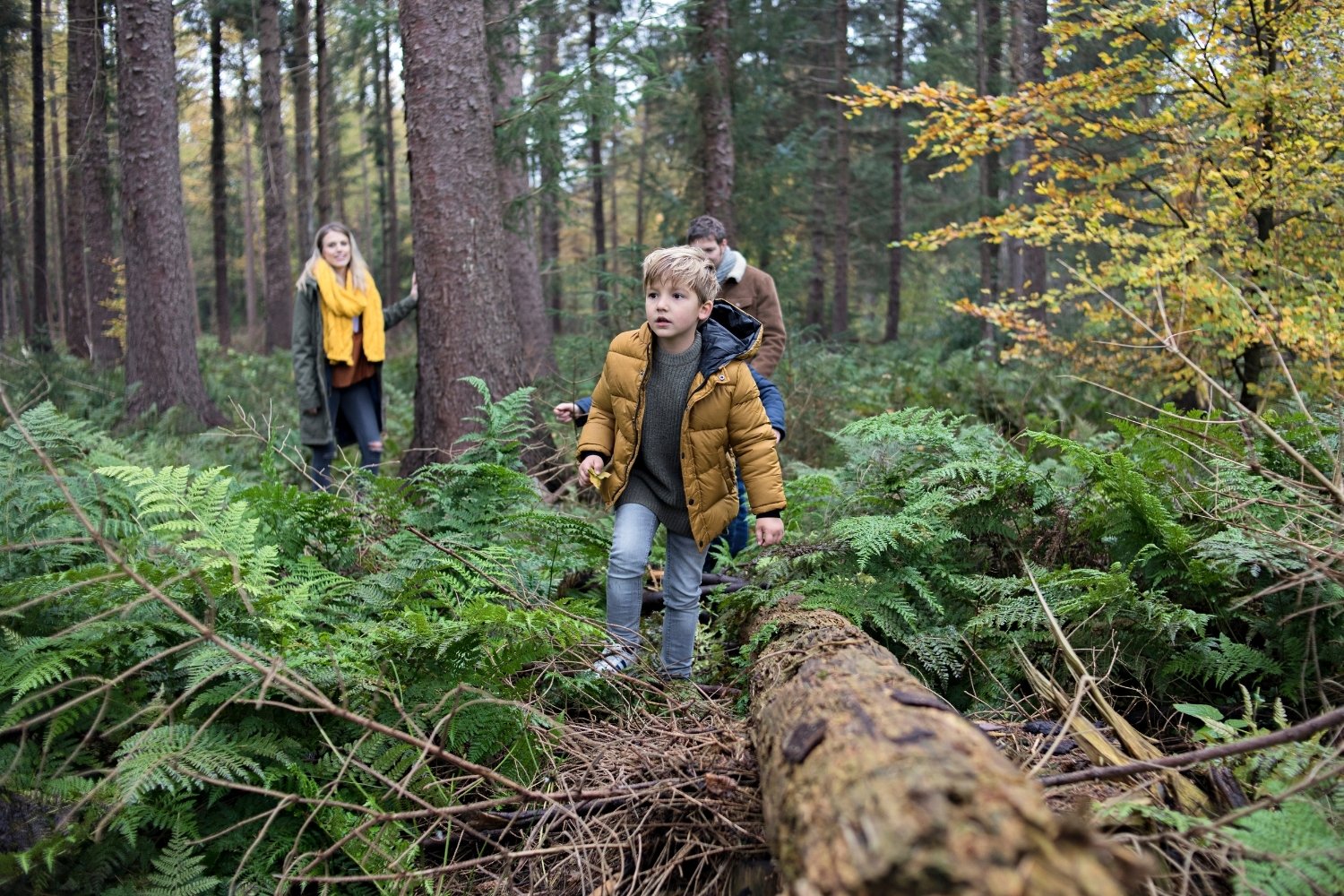 Herfstvakantie