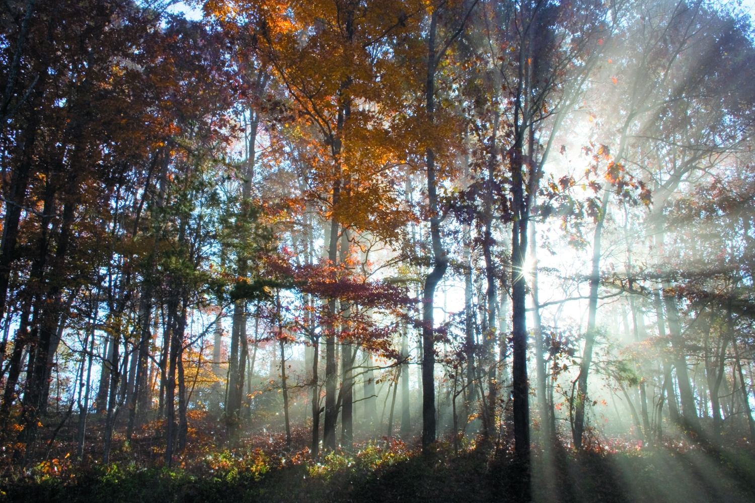 Tijdelijke woonruimte