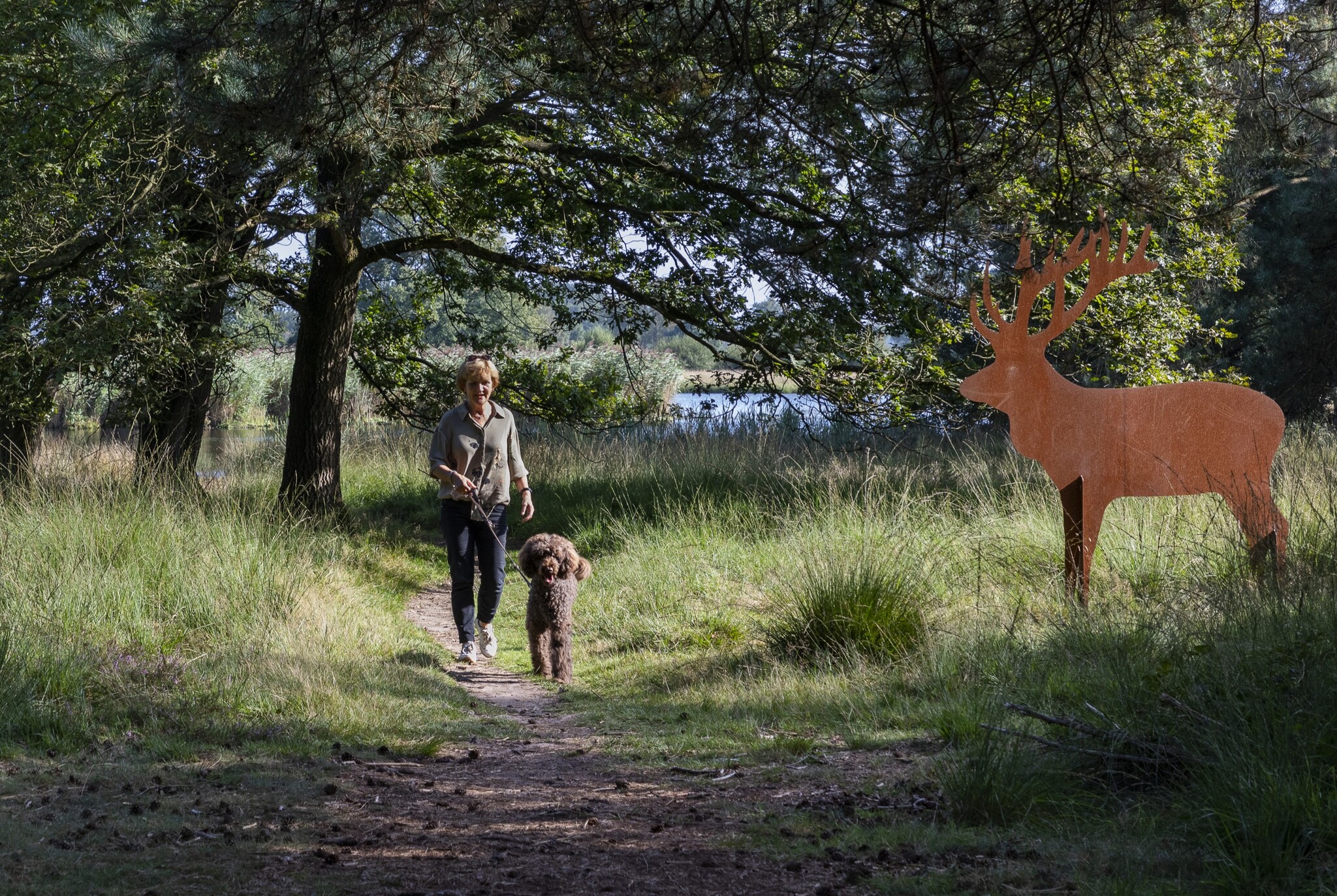 Urlaub mit Ihrem Hund
