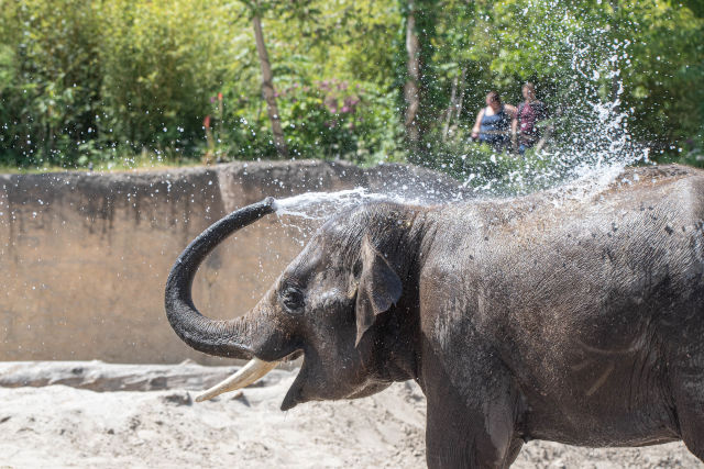 Wildlands Adventure Zoo