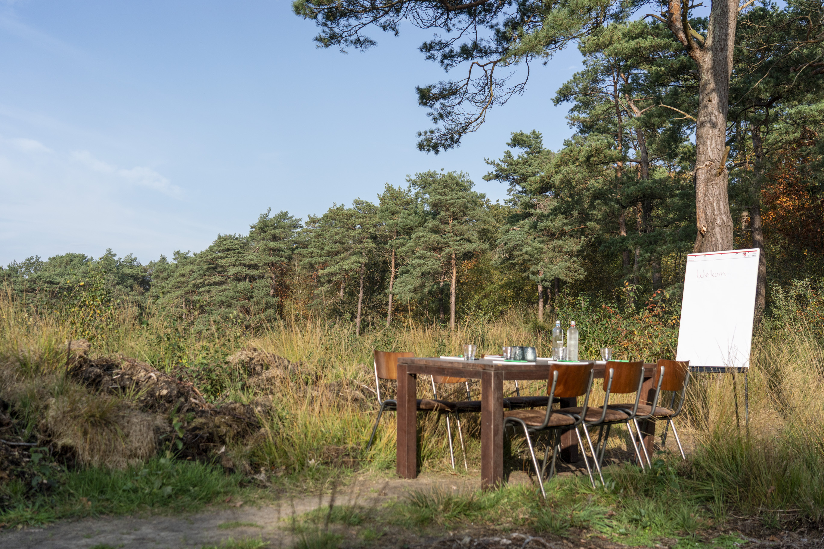 Vacature: Stage Sales