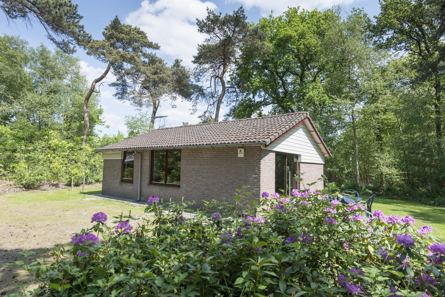 Bosbungalow Heidewachtel